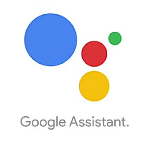 Compatible con Google Assistant